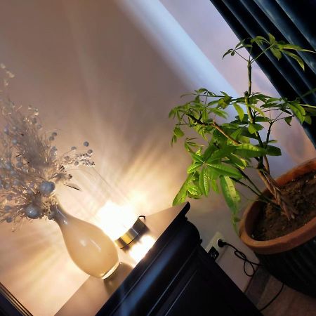 Casa Maria Roses Hotel Rîşnov Екстериор снимка