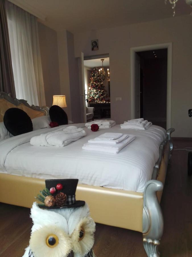 Casa Maria Roses Hotel Rîşnov Екстериор снимка