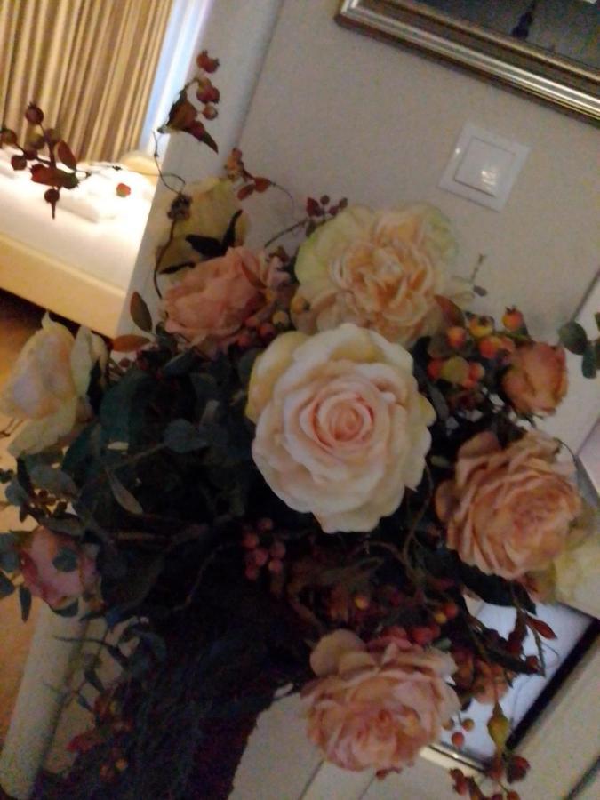 Casa Maria Roses Hotel Rîşnov Екстериор снимка