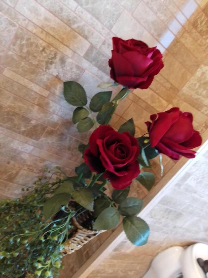 Casa Maria Roses Hotel Rîşnov Екстериор снимка