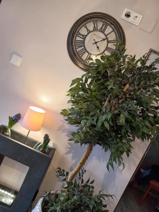 Casa Maria Roses Hotel Rîşnov Екстериор снимка