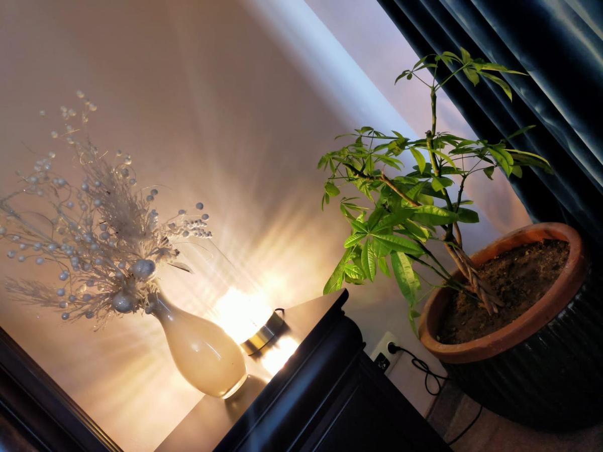 Casa Maria Roses Hotel Rîşnov Екстериор снимка