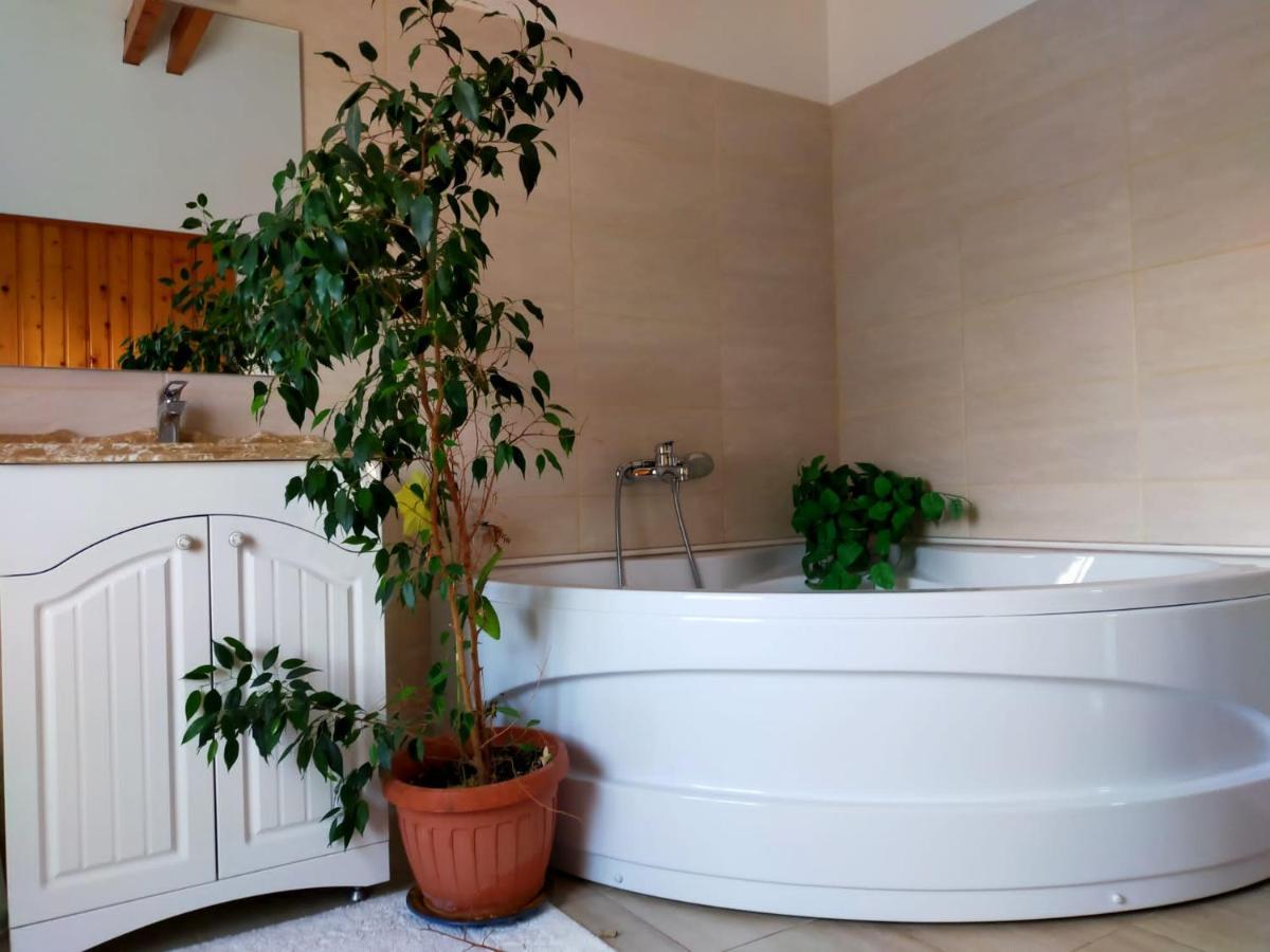 Casa Maria Roses Hotel Rîşnov Екстериор снимка